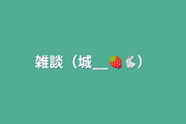 雑談（城__🍓🐇）