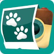 InstAnimal 1.1.1 Icon