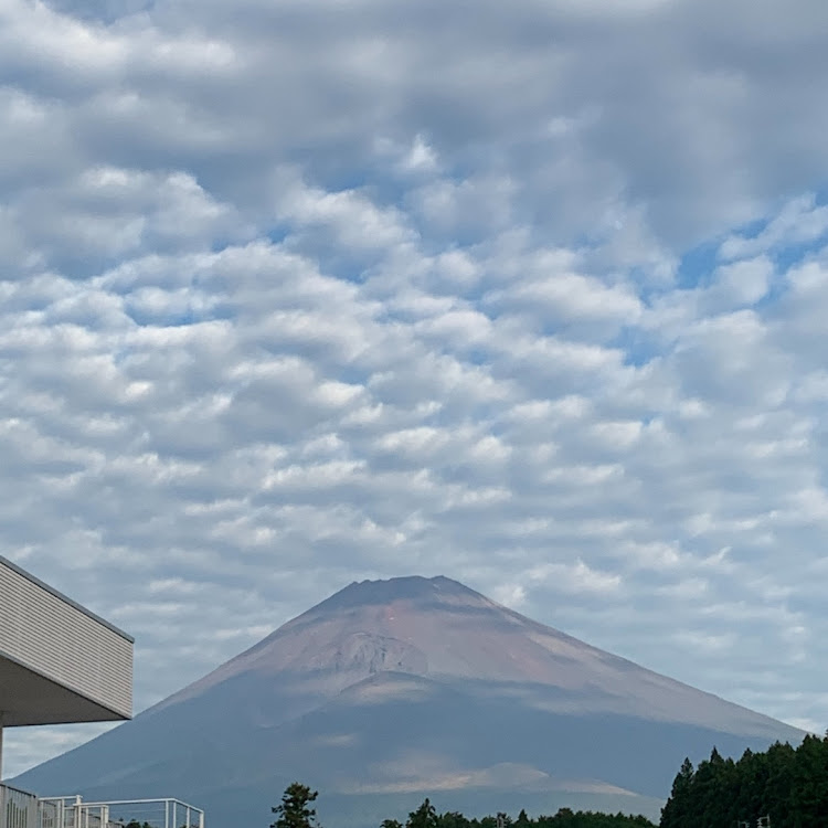 の投稿画像2枚目