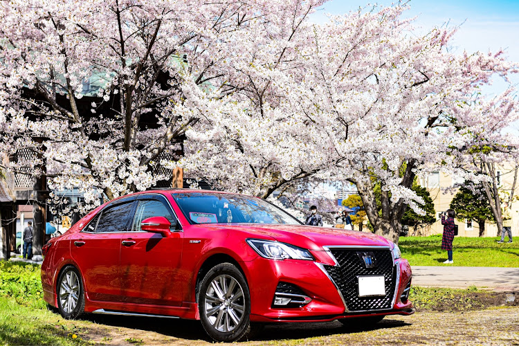 ゴルフ Rのゴールデンウィーク・趣味・ツーリング・MT・桜満開に関するカスタム事例の投稿画像3枚目