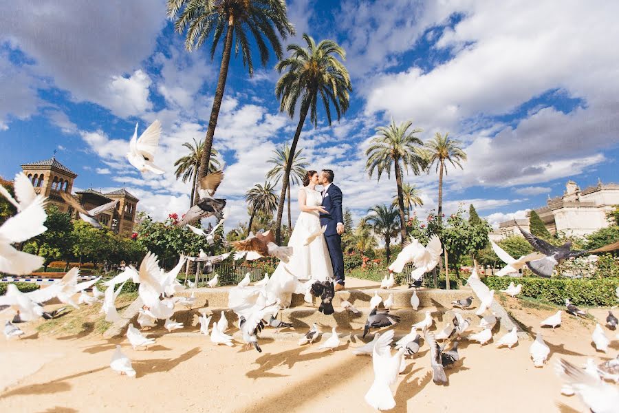 Fotografo di matrimoni Aleks Ginis (lioxa). Foto del 2 maggio 2016