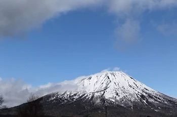 これからね！