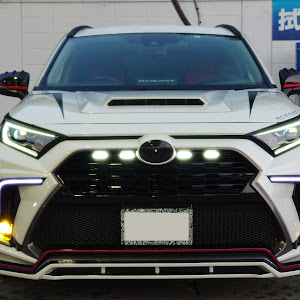 RAV4 AXAH52