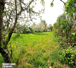 terrain à Verdun-sur-Garonne (82)