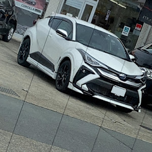 C-HR ZYX11