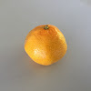 Satsuma Mandarin