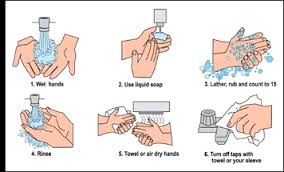 Image result for wash hands before and after eating