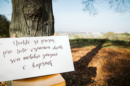 Photographe de mariage Kseniya Dushkovi (kseniyadusek). Photo du 5 novembre 2019