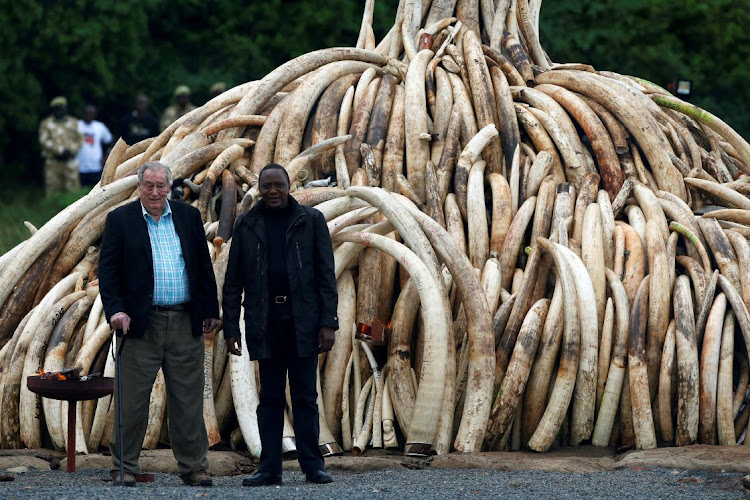Kenyan President Uhuru Kenyatta (right) and then chairman of the Kenyan Wildlife Service (KWS) Richard Leakey (left) pose for the press after the president lit on fire parts of an estimated 105 tonnes of ivory and a tonne of rhino horn confiscated from smugglers and poachers at the Nairobi National Park near Nairobi, Kenya, April 30, 2016. File Photo
