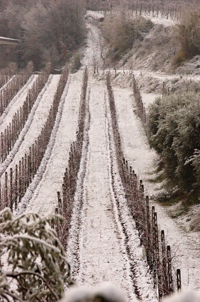 Dicembre 2012 di utente cancellato