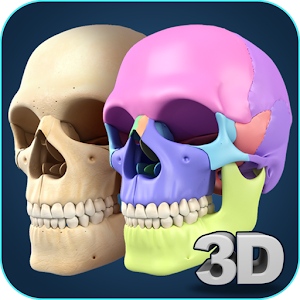 Download My Skull Anatomy For PC Windows and Mac