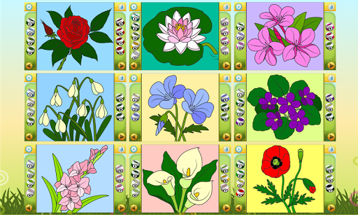 Color by Numbers - Flowers PRO