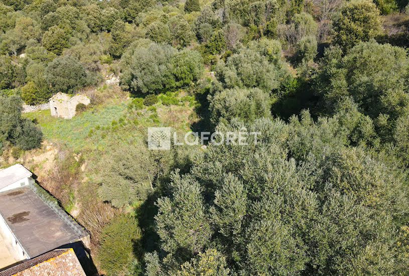  Vente Terrain à bâtir - à Pila-Canale (20123) 