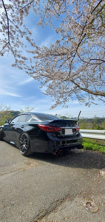 スカイラインの桜とコラボ・400R・V37スカイライン・400rと共に走る・ドライブに関するカスタム事例の投稿画像6枚目