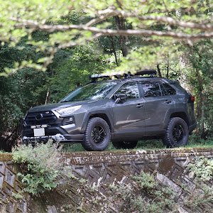 RAV4 MXAA54