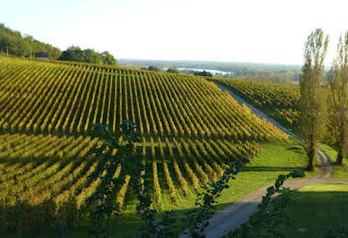 Vineyard with outbuildings 3