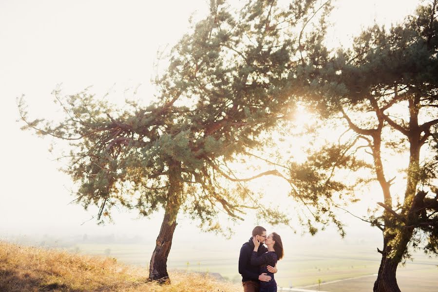 Wedding photographer Tibor Erdősi (erdositibor). Photo of 1 December 2015