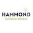 Hammond Electrical Services Logo