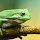 Frog New Tab Page HD Animals Themes