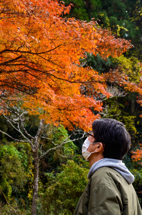 の投稿画像20枚目