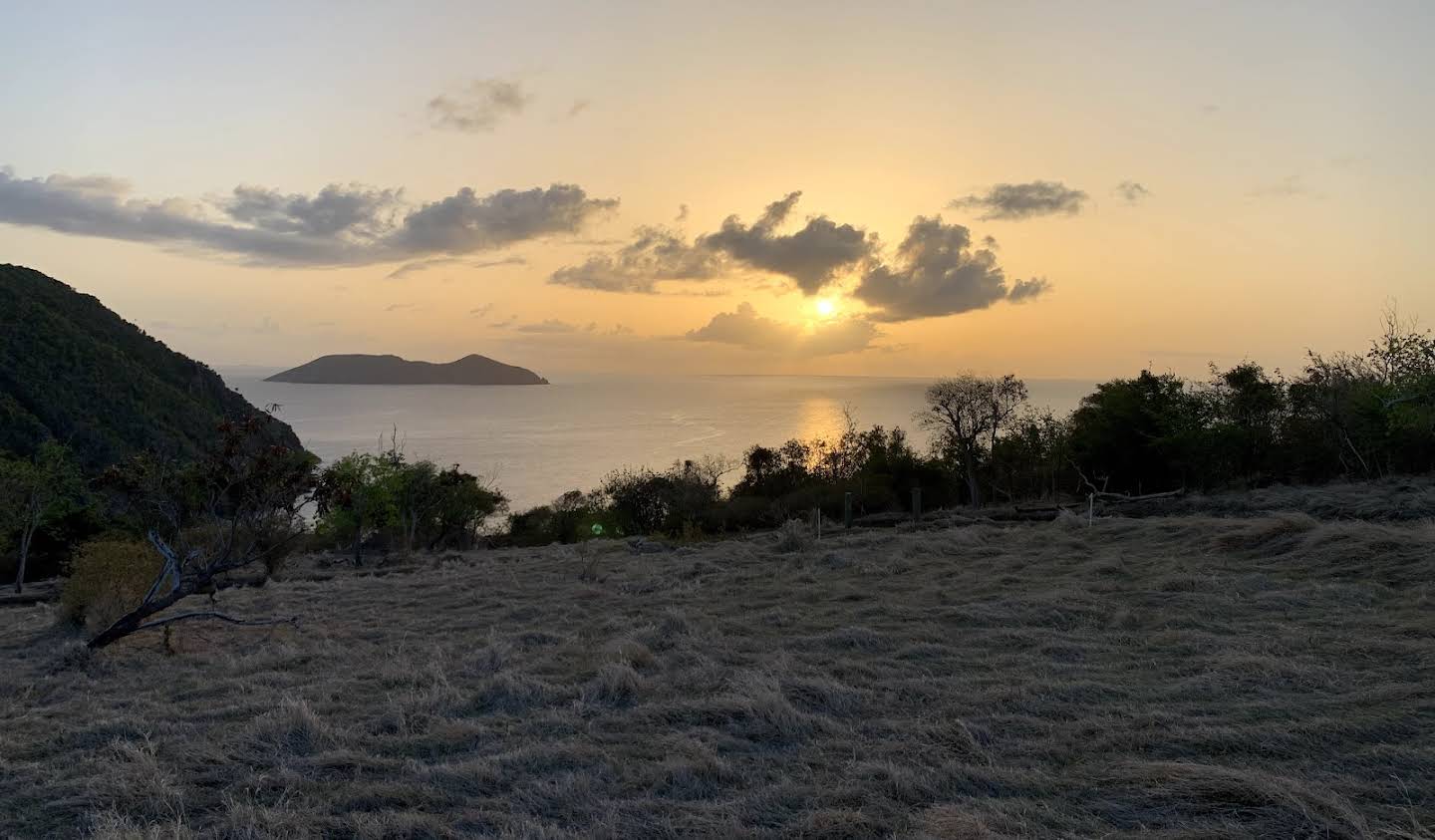 Terrain Jost Van Dyke