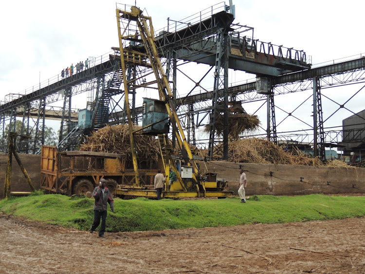 A tractor offloads cane at Sony Sugar Company on Thursday.