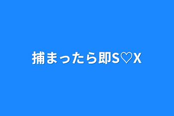 「捕まったら即S♡X」のメインビジュアル