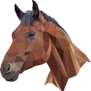 Imagenes de Caballos  Icon