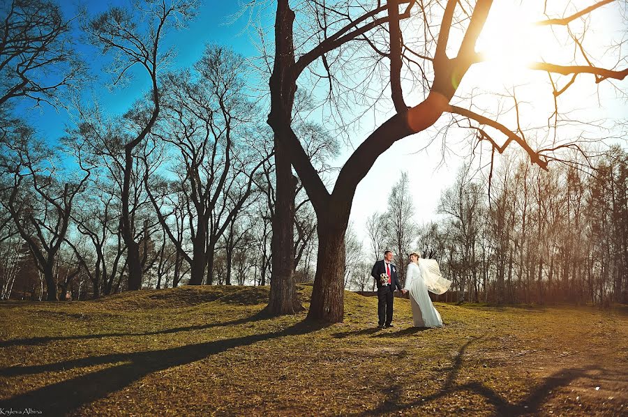 Vestuvių fotografas Albina Krylova (albina2013). Nuotrauka 2015 spalio 28