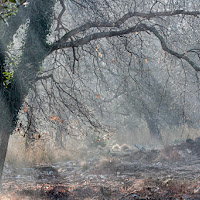 Luce d'autunno di 