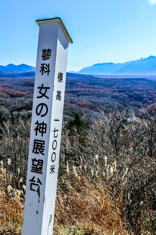 の投稿画像2枚目