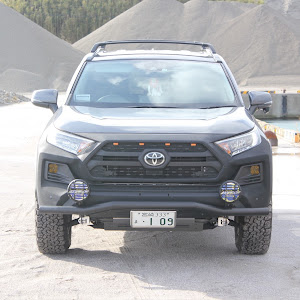 RAV4 MXAA54