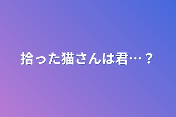 拾った猫さんは君…？