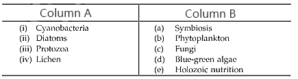 Five Kingdom System of Classification