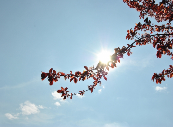 Il cielo è sempre più blu di andrealbieri