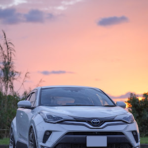 C-HR ZYX11