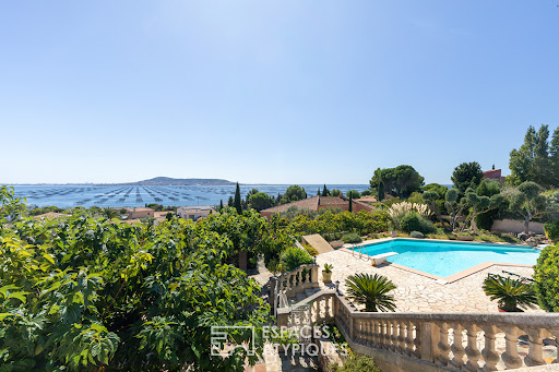 Property purchase in Bouzigues (34140) - Villa with pool and sea view