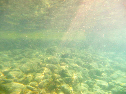 Underwater in The Maldives 2014