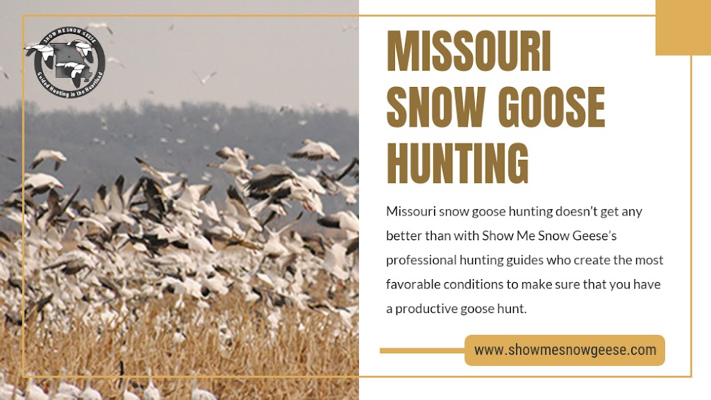 Missouri Snow Goose Hunting