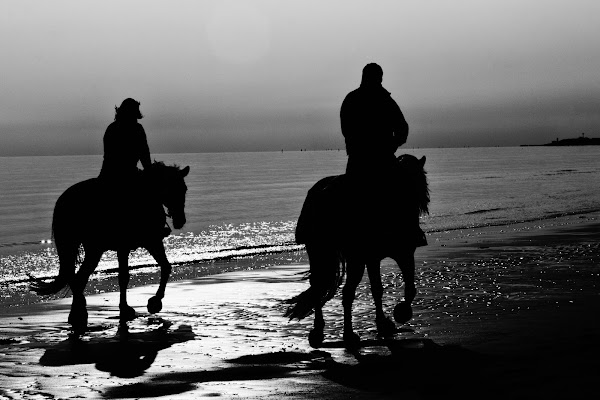 Passeggiata a cavallo sulla spiaggia di galubio52