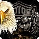 Legendary Harley Davidson Chrome extension download