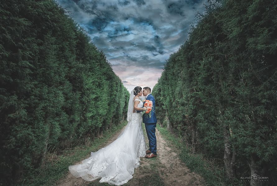 Fotógrafo de casamento Alejandro Moreira Gareca (alejandromoreira). Foto de 5 de junho 2021