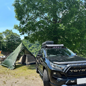RAV4 MXAA54