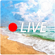 Download Beach Live Cams For PC Windows and Mac 1.0