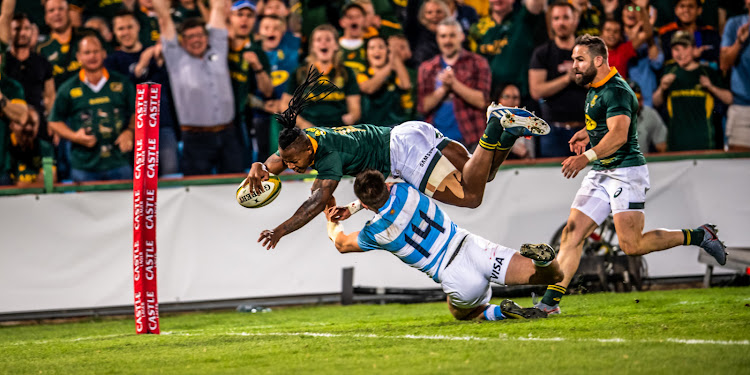 S'bu Nkosi will hoping to crash over the try line again when the Springboks take on the Pumas in in Gqeberha.