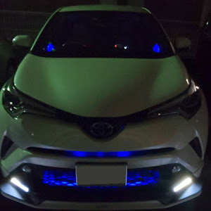 C-HR ZYX10