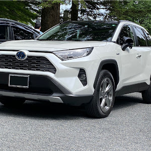 RAV4 MXAA54