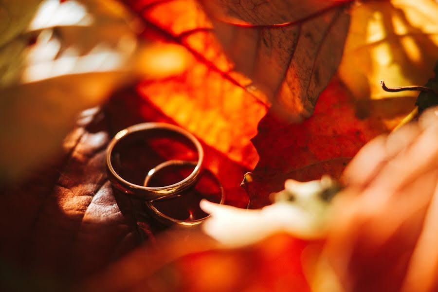 Fotógrafo de bodas Sergey Lazarenko (slazar). Foto del 9 de noviembre 2019