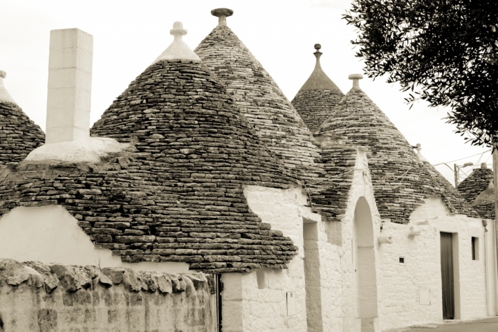 Trulli di micomatrix