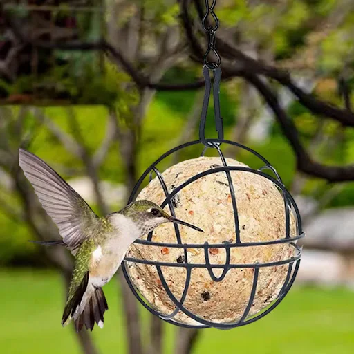 Outdoor Hanging Bird Feeder Cage Globe Cage Bird Feeder Iron Hanging Bird Feeder for Supplies Outdoor Balcony Garden Dec